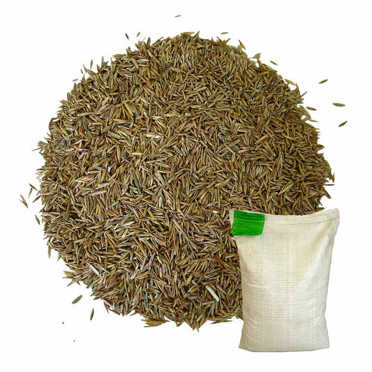 Buy Hard-Wearing Grass Seed Bulk Bag | CH1tl