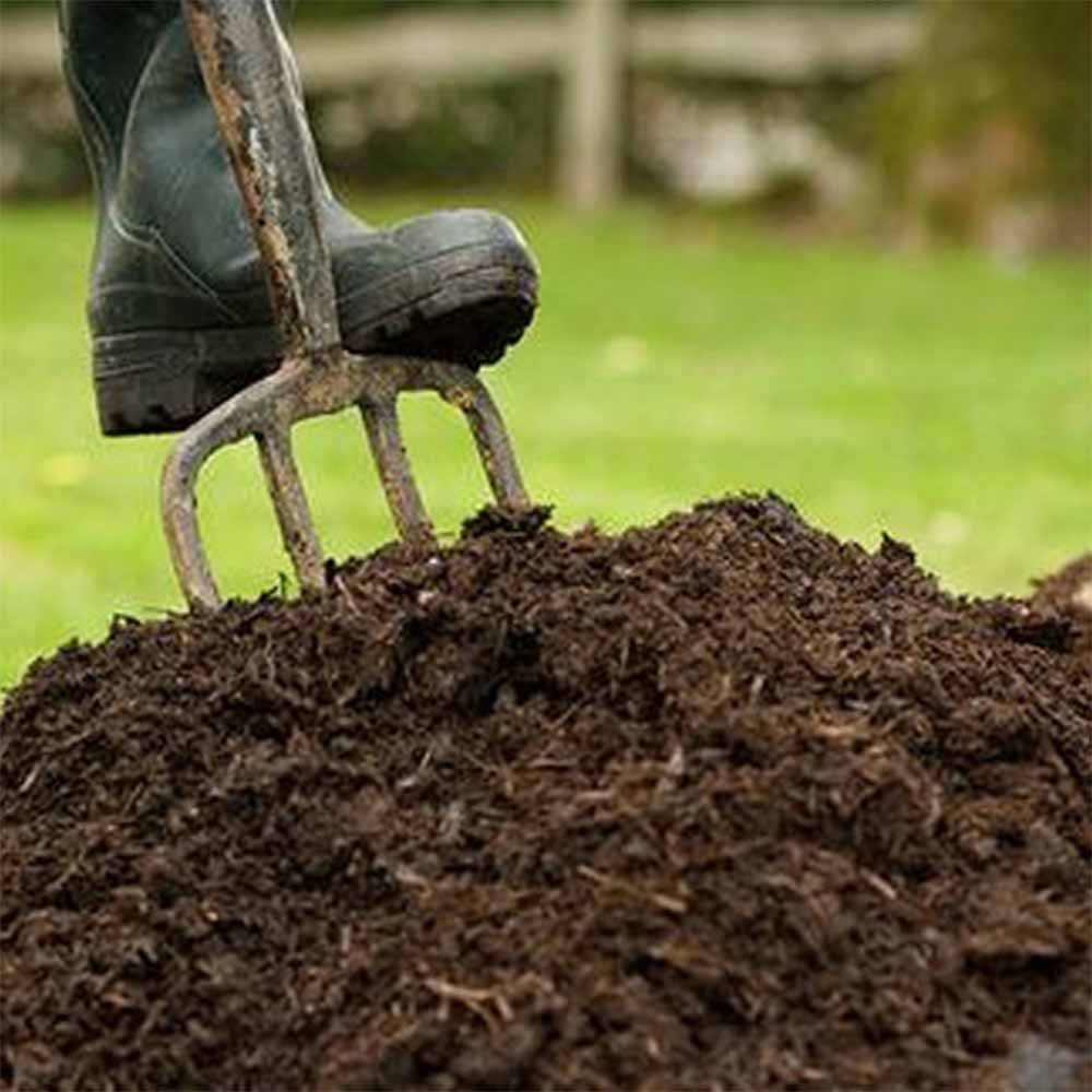 Organic Manure For Plants