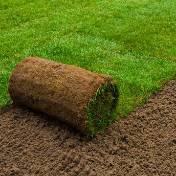 Buy Platinum Hardwearing Turf 1m sq per Roll | CH1tl UK 