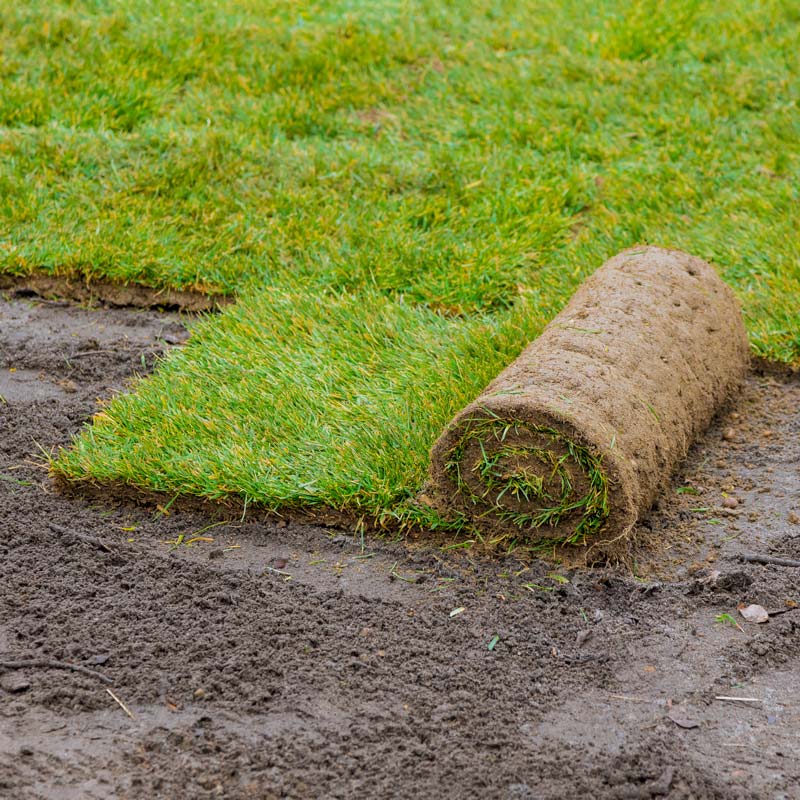 applying-rolled-green-grass-with-laying-sod-new-lawn-applying-turf-rolls