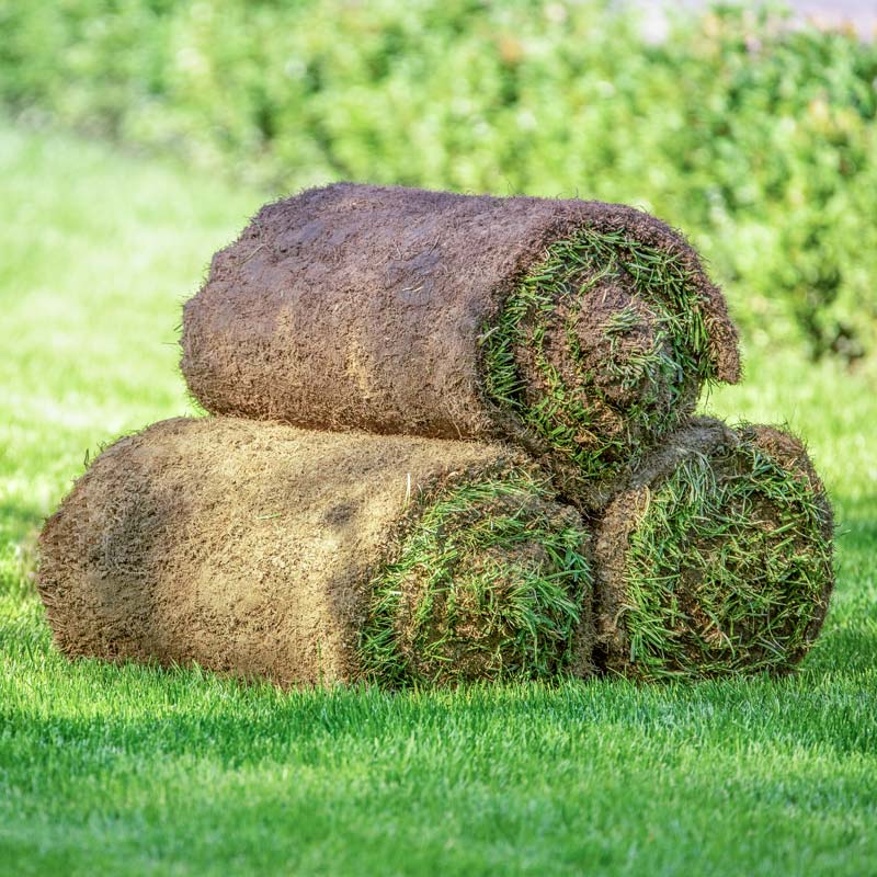 three-rolls-lawn-grass-lawn-ready-grass-use-landscaping